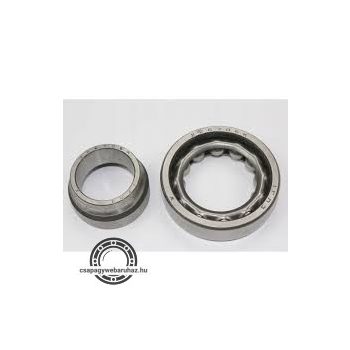 226706 K GPZ hengergörgős csapágy