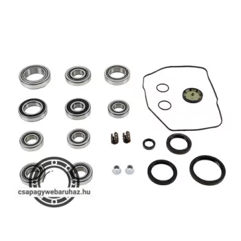 462 0057 10 Gearbox Kit VW 0AM INA sebességváltó készlet