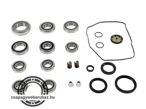 462 0057 10 Gearbox Kit VW 0AM INA sebességváltó készlet
