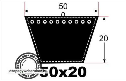 50X20X2870 LI DTE RIPE ékszíj