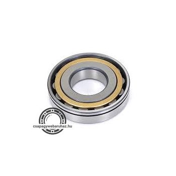 549887 A FAG hengergörgős csapágy