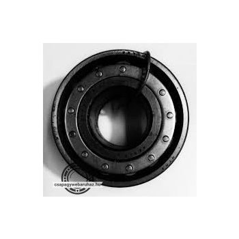 55709 GPZ hengergörgős csapágy