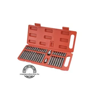   BIT készlet 40 db HEX-TORX-XZN, 10mm, adapter 3/8" és 1/2", CrV, műanyag dobozban EXTOL 8818202