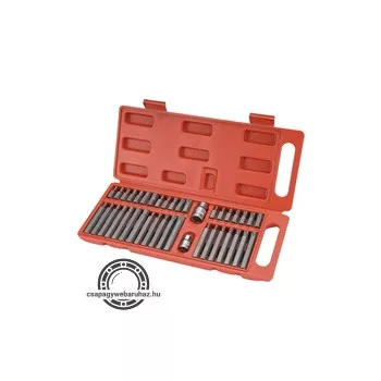   BIT klt. 40 db HEX-TORX-XZN, 10mm, adapter 3/8" és 1/2", CrV, műanyag dobozban
