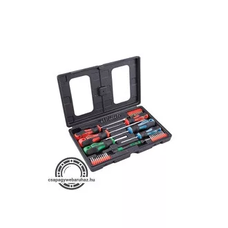   Csavarhúzó és BIT készlet 47 db; lapos: 5,5×38, 5,5×100, 6,5×125mm és 8×150mm, PH1×75, PH2×38 és PH2×125, CV., műanyag tartóban EXTOL 8819258