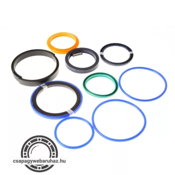 100X60 991/00107 RG JCB tömítésgarnitúra