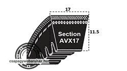 AVX 17X1300 LA OPTIBELT ékszíj
