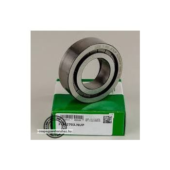 F-207407.02.NUP INA telegörgős csapágy