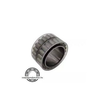 F-208266.05.RN INA telegörgős csapágy