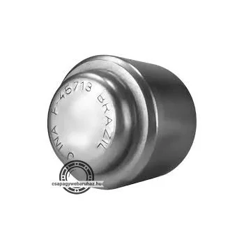 F-45713 INA tűgörgős csapágy
