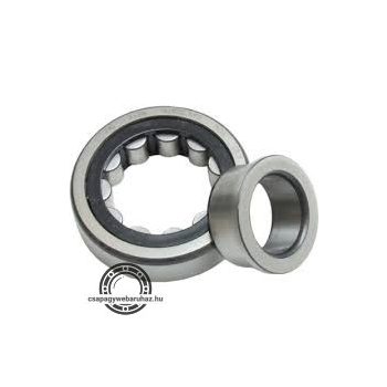 F-554990.RHI INA hengergörgős csapágy