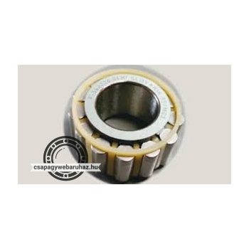 F-562226.01 INA hengergörgős csapágy