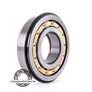 F 19003 FERSA hengergörgős csapágy , telegörgős