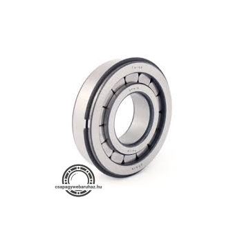 F 19006 FERSA hengergörgős csapágy , telegörgős
