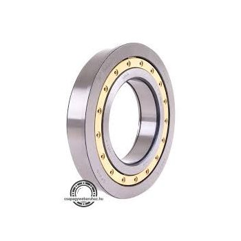 F 19015 FERSA hengergörgős csapágy 