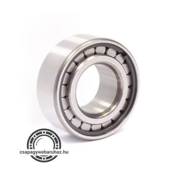 F 19034 FERSA hengergörgős csapágy , telegörgős