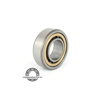 F 19055 FERSA hengergörgős csapágy 