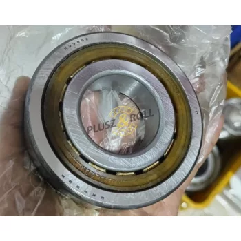 NUP 309 ETNGP DKF hengergörgős csapágy