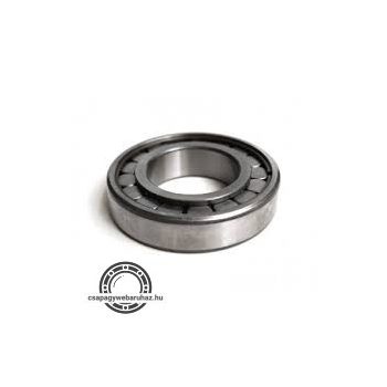 N 12099 ISB telegörgős csapágy