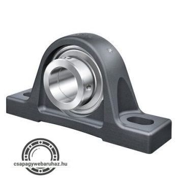 RASEY 12-XL-N INA csapágyegység 