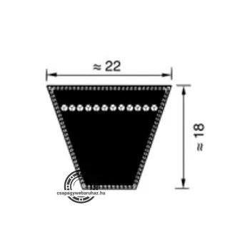 SPC 10250 LW DTE ékszíj
