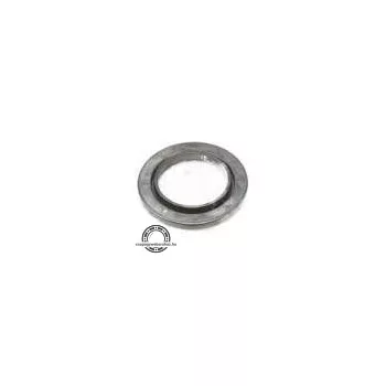 TNB 44145.S01 SNR csapágy