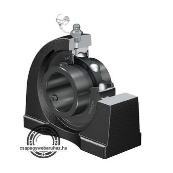 UCPA 207 FK csapágyegység